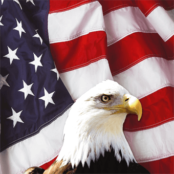 American Eagle with Flag Backdrop - Signazon