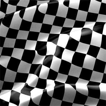 Checkered Race Flag Backdrop - Signazon